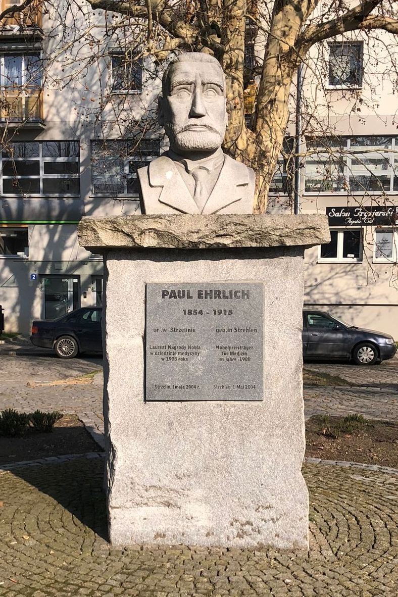 Paul Ehrlich's bust, Strzelin (2).jpg
